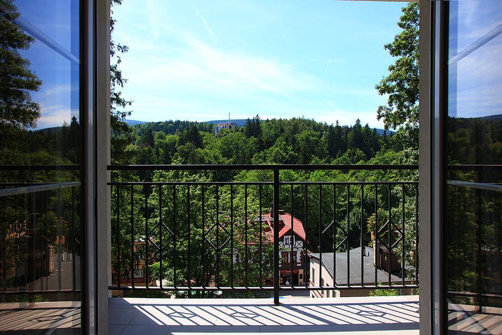 Villa Avangarda Шклярска-Поремба Номер фото